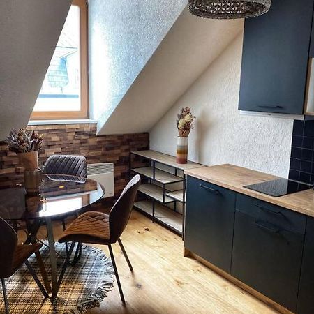 Cozy And Warm Apartment In The Heart Of Karlsbad Extérieur photo